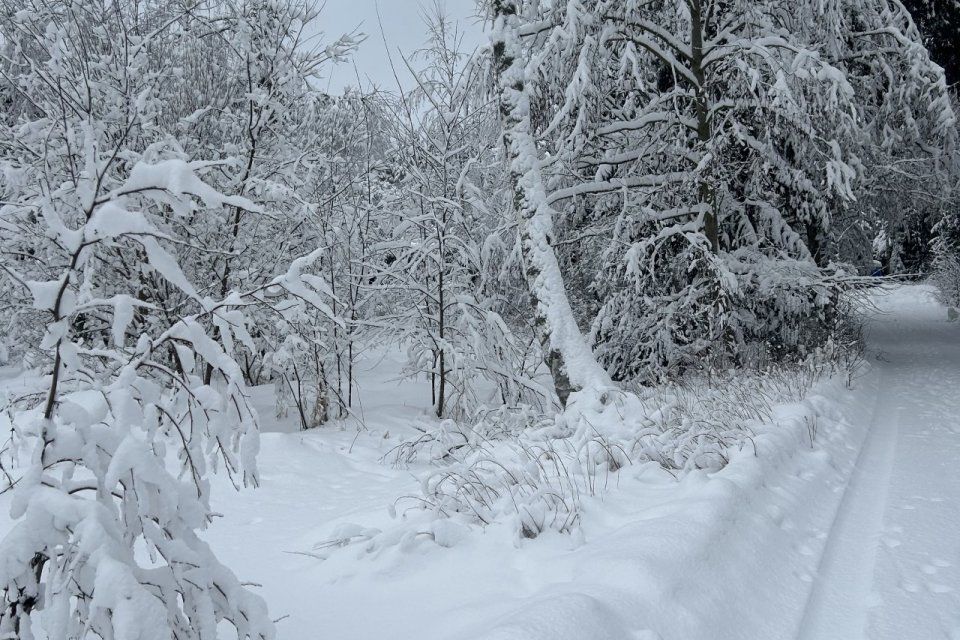 земля г Зеленогорск ул Героев 23а Курортный фото 1