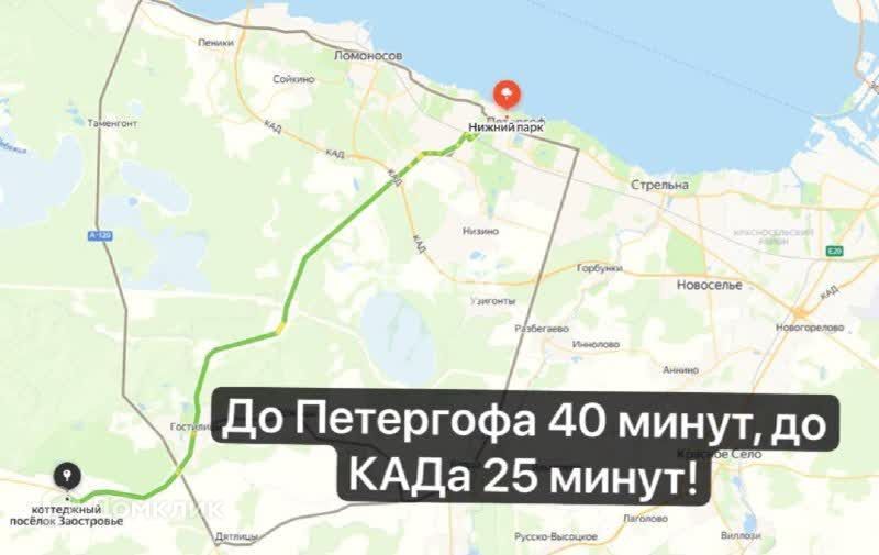 земля р-н Ломоносовский д Заостровье 54 фото 4