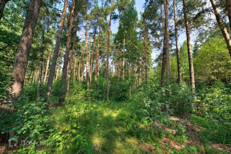 земля городской округ Одинцовский ДСК Ранис фото 5