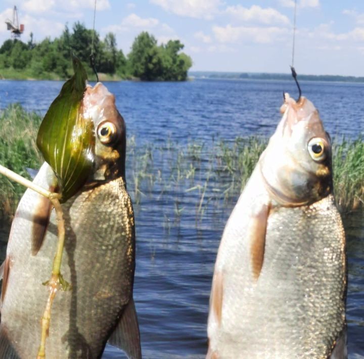 дом р-н Осташковский г Осташков ул Загородная 63 фото 15