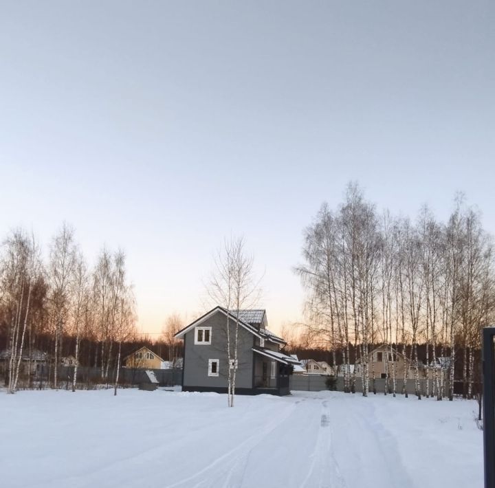 дом городской округ Богородский д Молзино ул 1-ая Восточная 14 фото 23