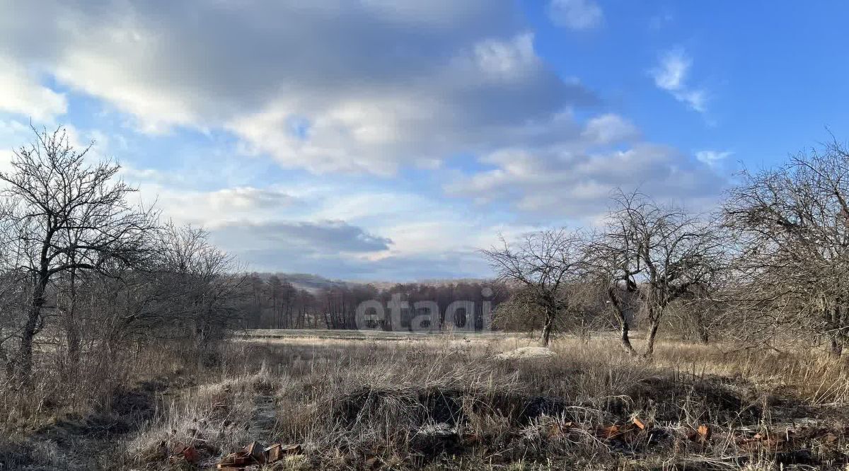 земля р-н Яковлевский х Калинин ул Калининская фото 6