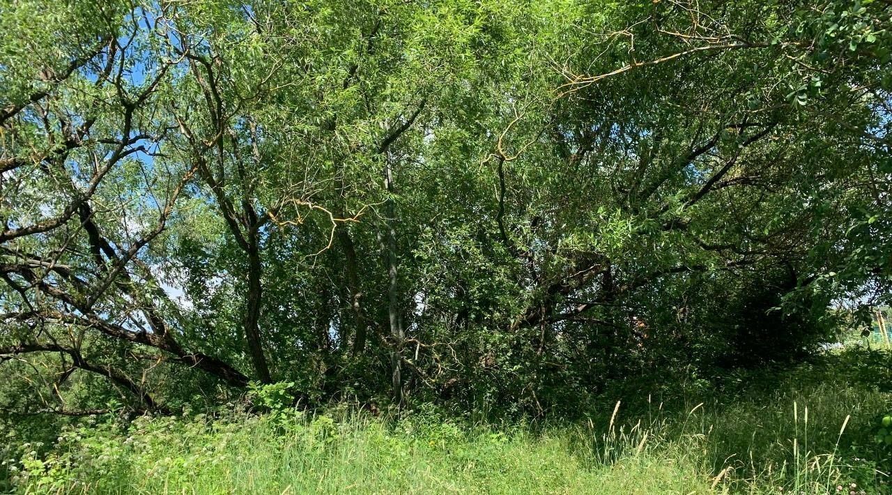 земля р-н Ленинский д Варфоломеево ул Центральная Тула городской округ фото 8