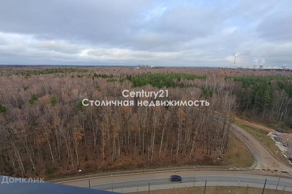 квартира городской округ Мытищи п Нагорное ул Полковника Романова 11 фото 2