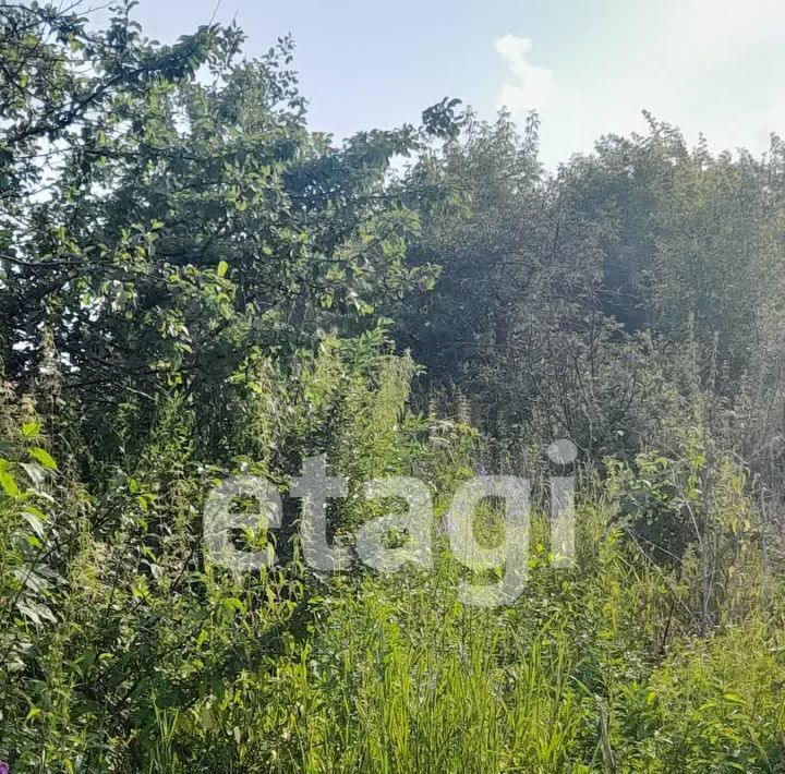 земля г Красноярск р-н Октябрьский Дружба СНТ фото 3