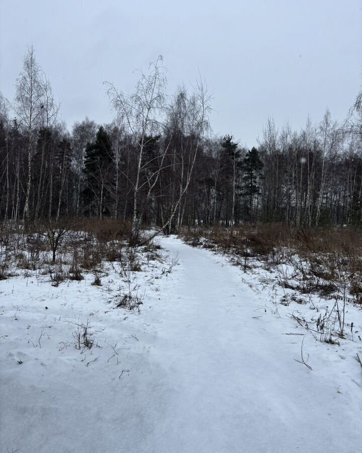 дом городской округ Богородский г Старая Купавна снт Бабкина дача 21 км, 266, Горьковское шоссе фото 27