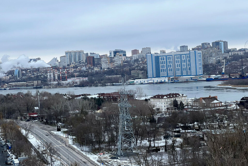 квартира г Ростов-на-Дону р-н Кировский ул Левобережная 6/6с 1 фото 1