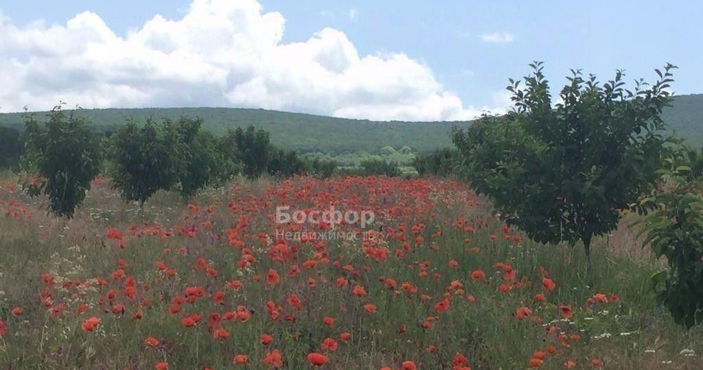 офис р-н Белогорский с Сенное ул Центральная Муромское с пос фото 16