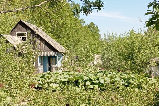 снт Мукомол Южно-Сахалинск городской округ, 95 фото