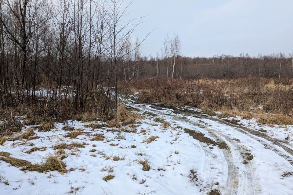 земля р-н Анивский СДТ Пчёлка фото 3