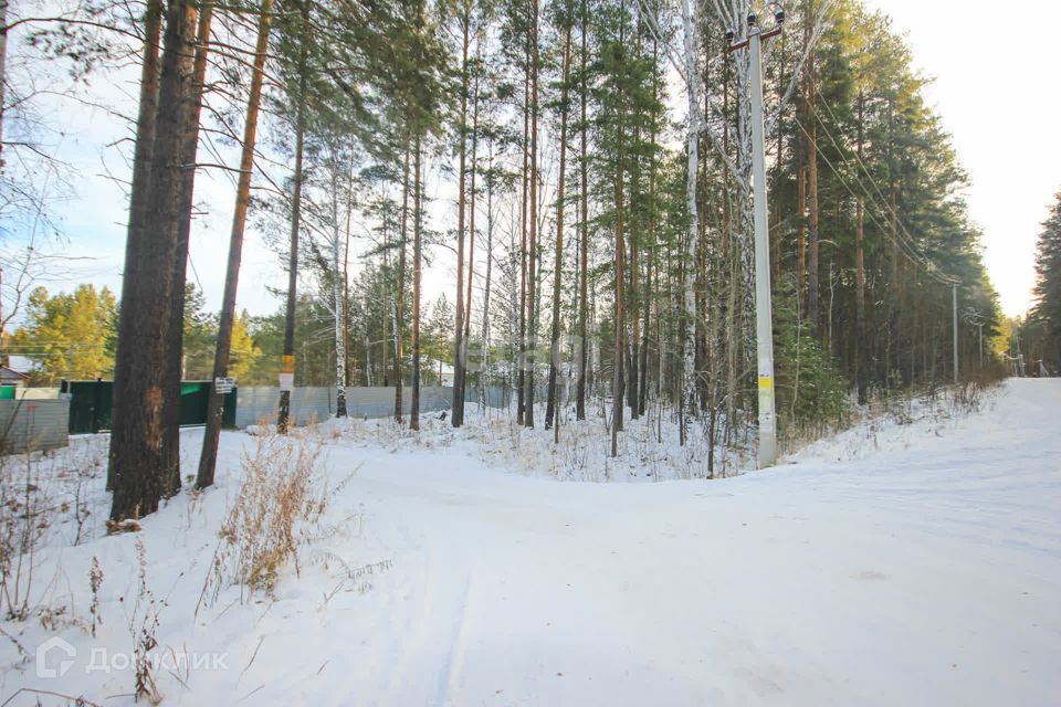 земля г Екатеринбург р-н Чкаловский Екатеринбург городской округ, Лесные Тропы фото 3