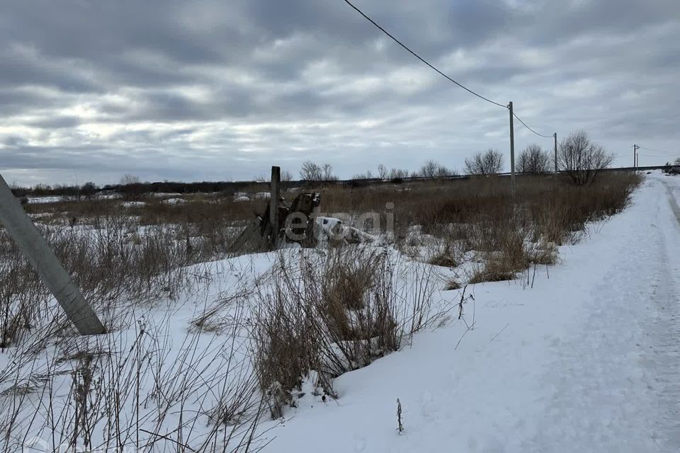 земля р-н Балашовский с Хоперское ул Сельская фото 4