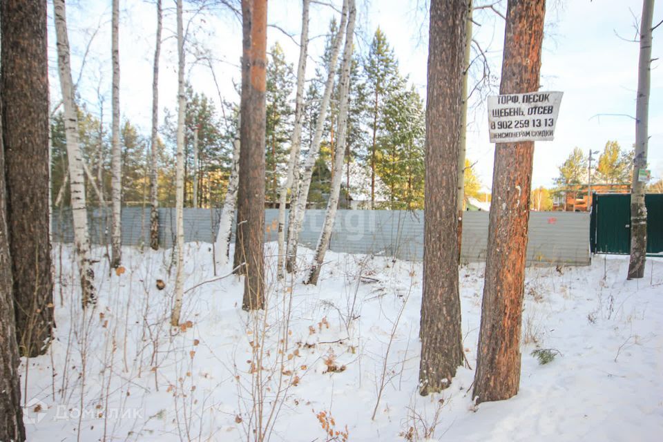 земля г Екатеринбург р-н Чкаловский Екатеринбург городской округ, Лесные Тропы фото 6