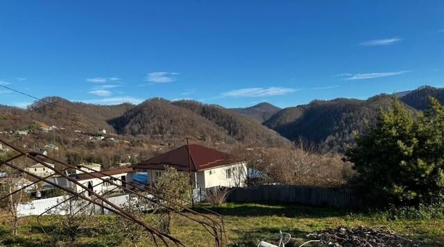 земля пер. Пчелиный фото