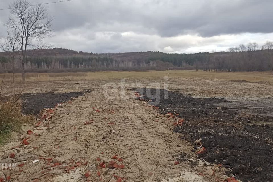 земля р-н Тамбовский с. Козьмодемьяновка Лысогорский сельсовет фото 7