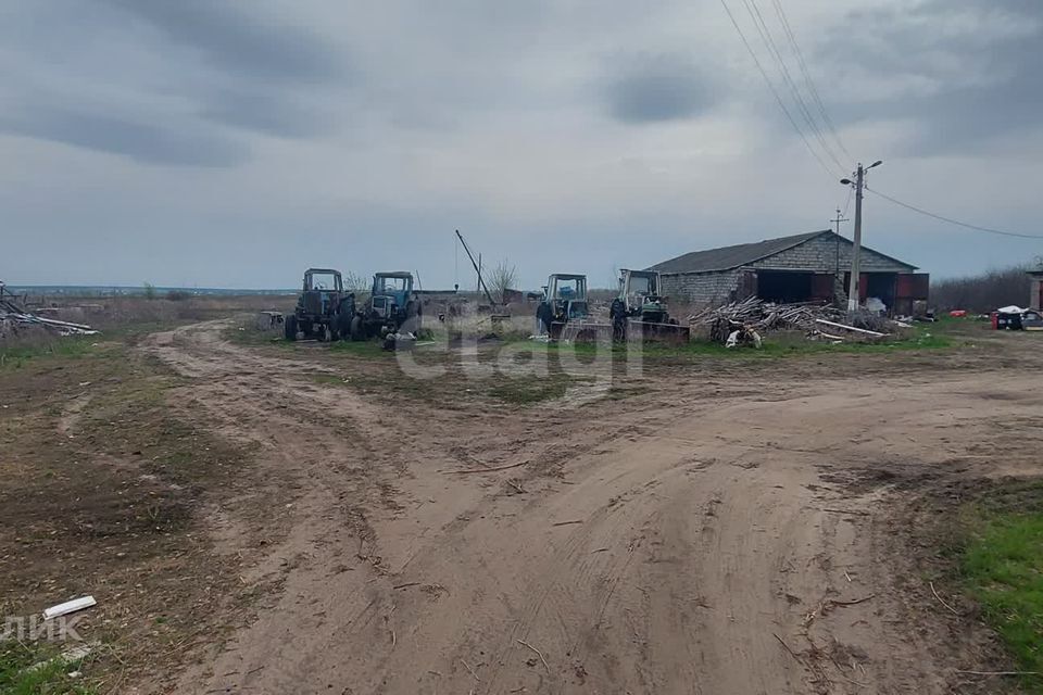 земля р-н Борисоглебский г Борисоглебск Чигоракский территориальный отдел фото 7