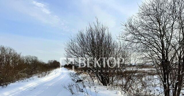 Соколиное Гнездо кп, 1 фото