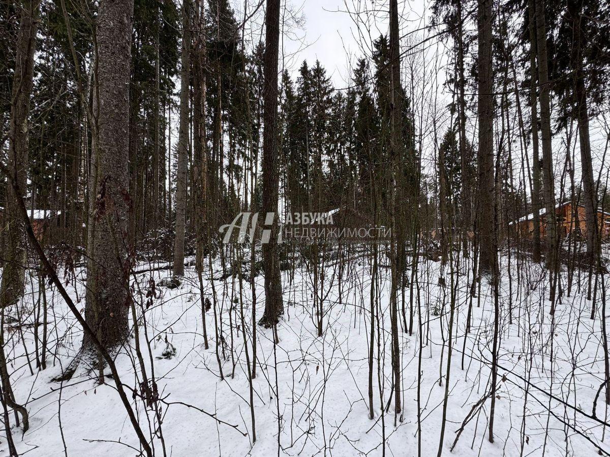 земля городской округ Пушкинский д Могильцы р-н мкр Пушкинский лес ул. Лесная фото 5