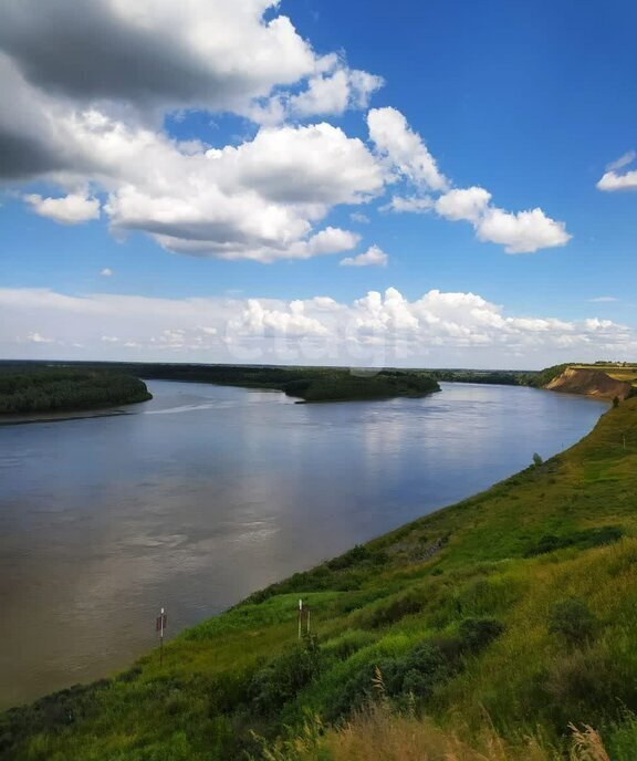 дом г Барнаул с Гоньба ул Рябиновая 46б фото 1