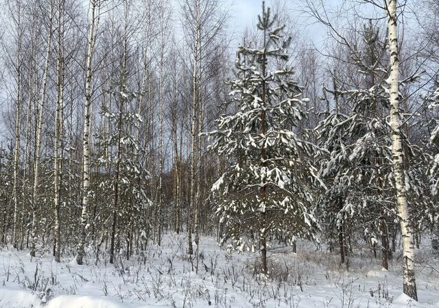 земля Лежневское сельское поселение, Лежнево фото