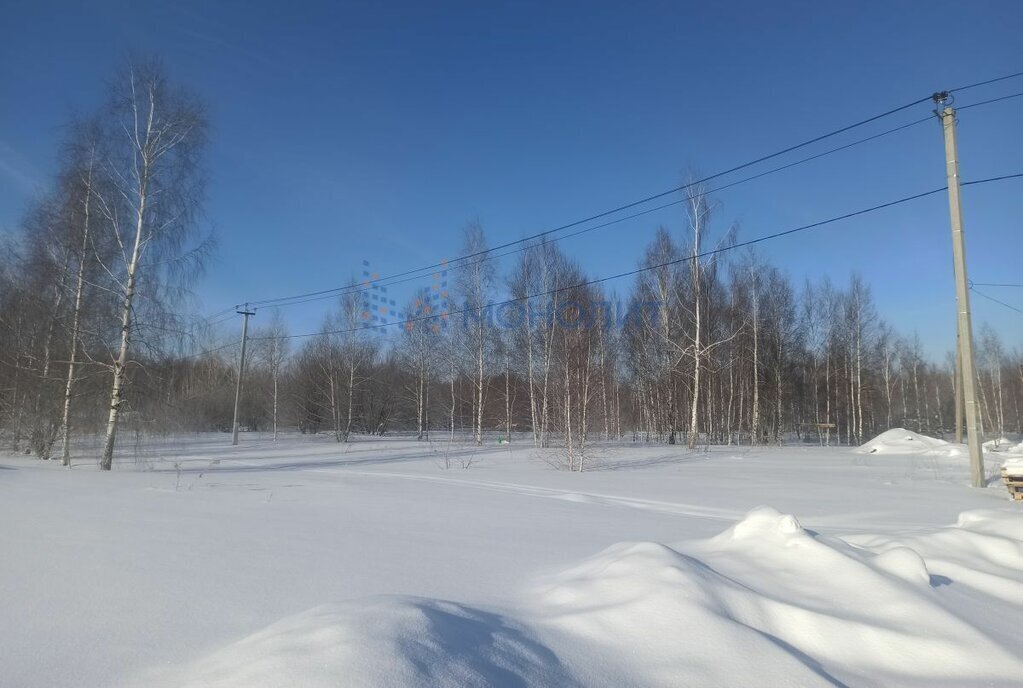 земля р-н Балахнинский д Шалимово 2Б фото 2