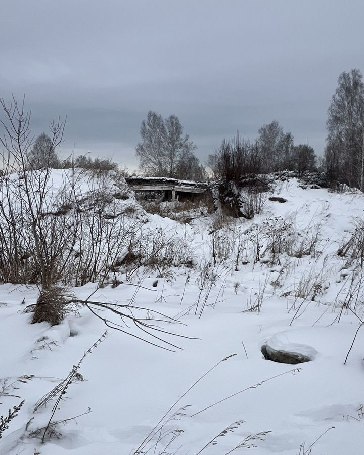 земля р-н Новосибирский п Советский Каменский сельсовет, Новосибирск фото 1