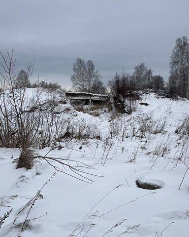 земля Каменский сельсовет, Новосибирск фото