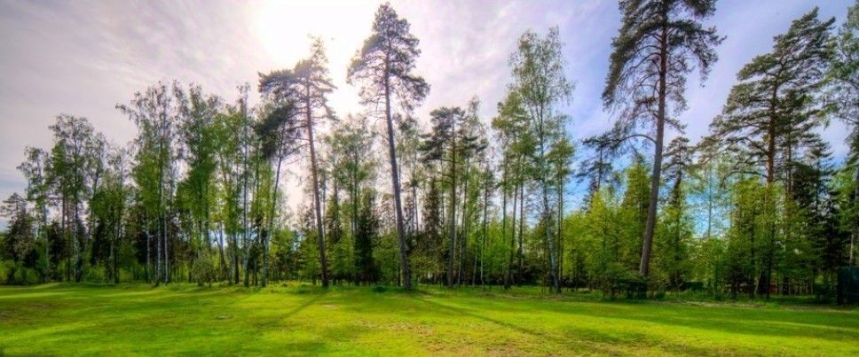 земля городской округ Одинцовский д Сколково Кунцевская фото 1