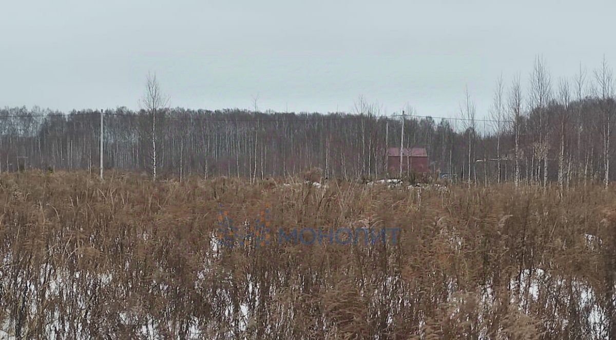 земля г Семенов д Труново ул Северная Бор городской округ фото 8