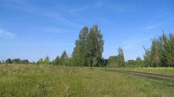 земля Поповская Дача урочище фото земля Поповская Дача урочище фото