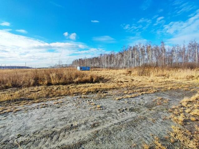 ДНТ Экопосёлок Дачи Хюгге, Тюменский район фото