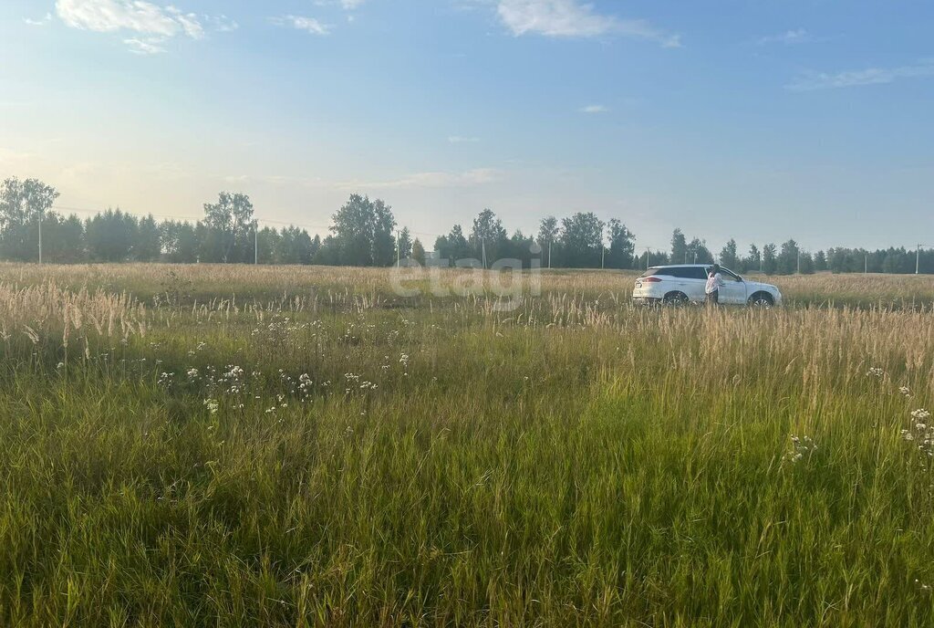 земля Поспеловское сельское поселение, посёлок Луговой фото 4