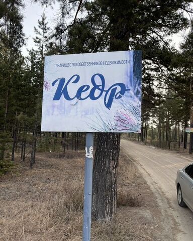 п Николаевский днп Кедр муниципальное образование Заводское, Улан-Удэ фото