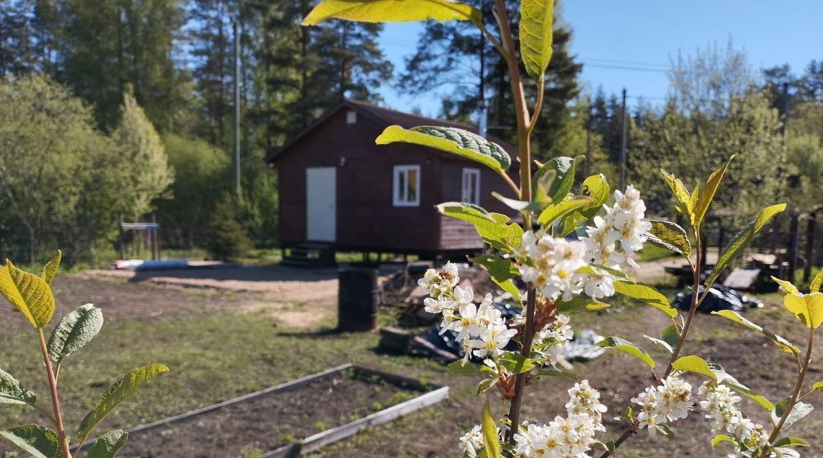 земля р-н Выборгский п Заходское Красносельское с пос фото 7