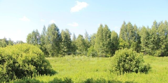 городской округ Богородский г Ногинск снт Вечерняя Москва Железнодорожная фото