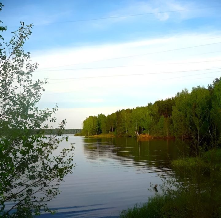 дом р-н Чкаловский д Новая ул Клубная Чкаловск городской округ фото 4