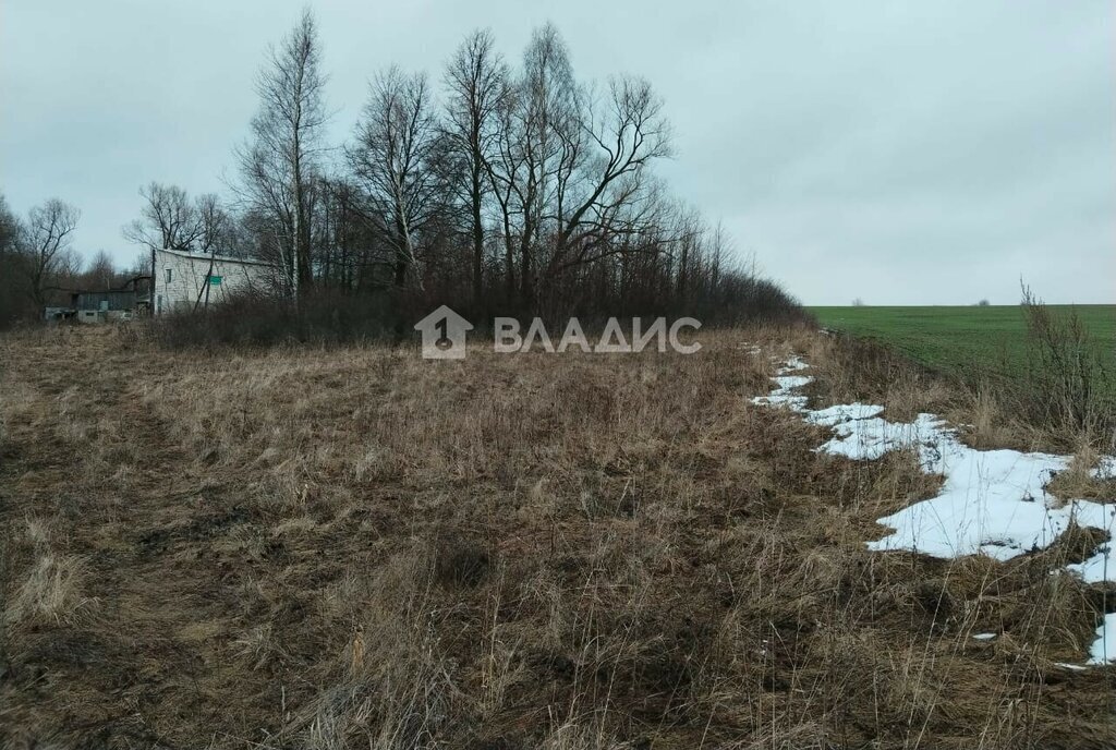 земля городской округ Зарайск д Карманово фото 10