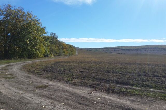 село Курское фото