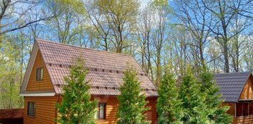 снт Лесное Богословский сельсовет, 309, Пензенский район фото