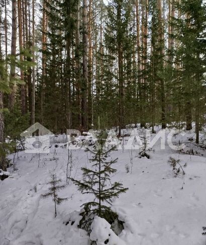 земля г Дивногорск с Овсянка п Манский снт Радужный фото 9