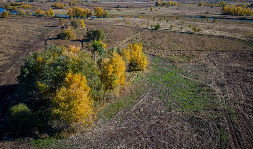 земля р-н Оренбургский с Каменноозерное фото 14