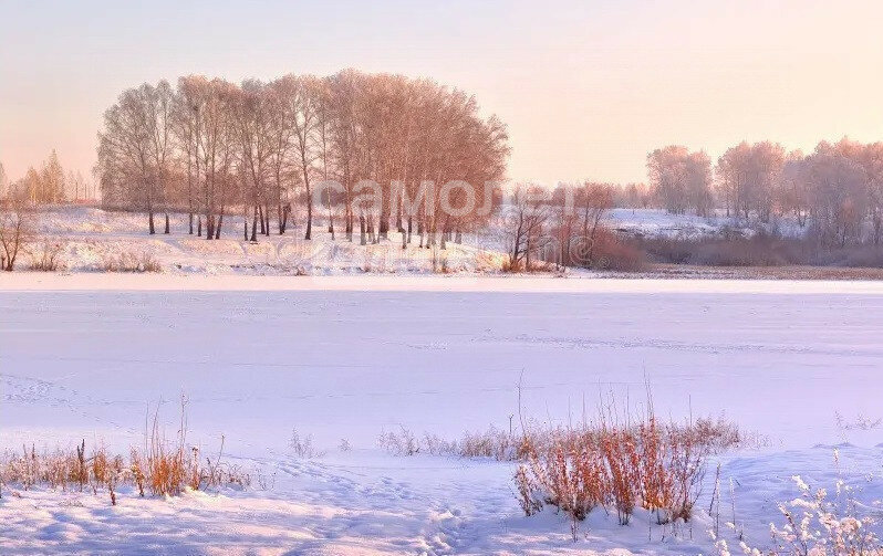 дом р-н Искитимский д Бердь ул Заречная 10 сельсовет, Мичуринский фото 11