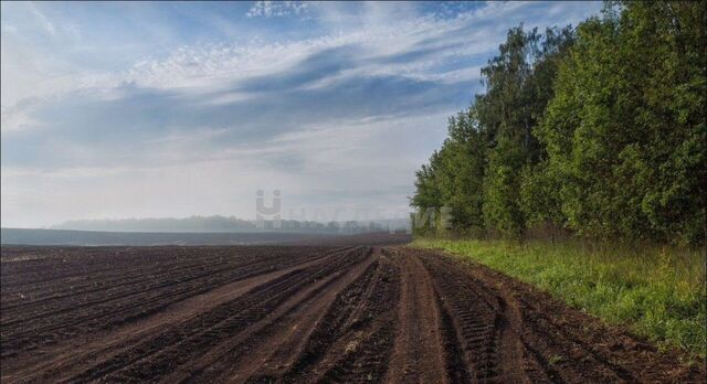 Волченское сельское поселение, Каменск-Шахтинский фото