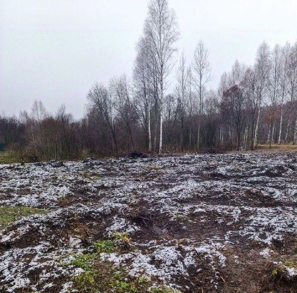 офис городской округ Талдомский Ветеран садовое товарищество, 28 фото 1