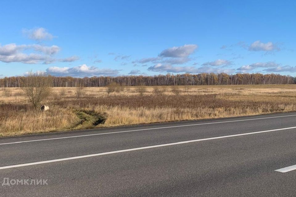 земля Тула городской округ, д. Юрьево фото 4