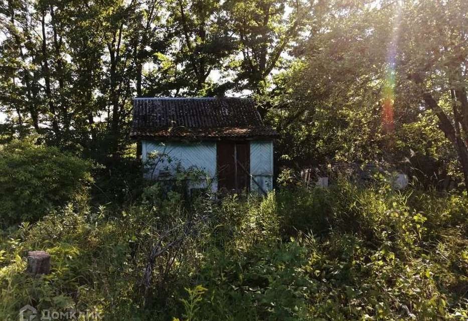 земля р-н Новгородский садоводческий массив № 2, СТ Вишня фото 3