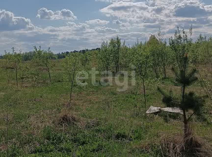 земля г Калуга Калуга городской округ, Муниципальное образование Город Калуга фото 3