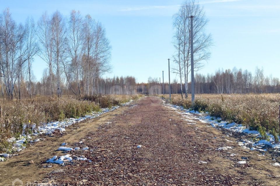 земля р-н Нижнетавдинский с Нижняя Тавда ул Строителей фото 4