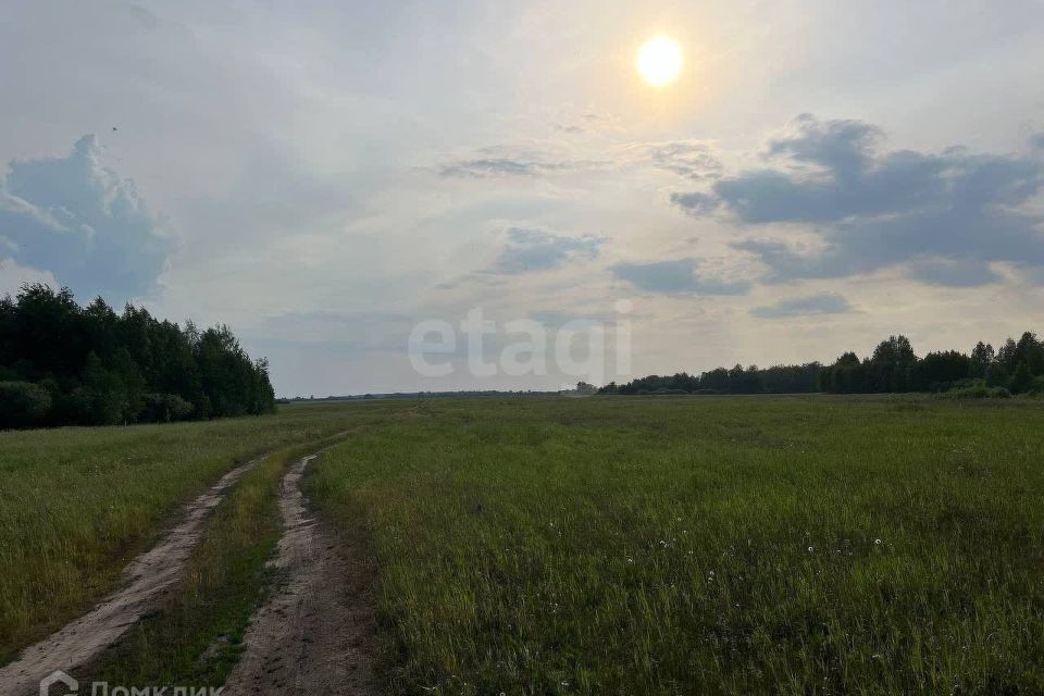 земля р-н Тюменский с Салаирка ул Молодежная фото 2