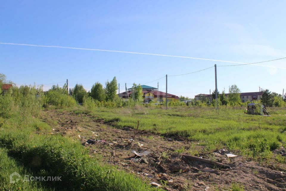 земля Мегион городской округ, Ханты-Мансийский автономный округ — Югра, Высокий фото 4